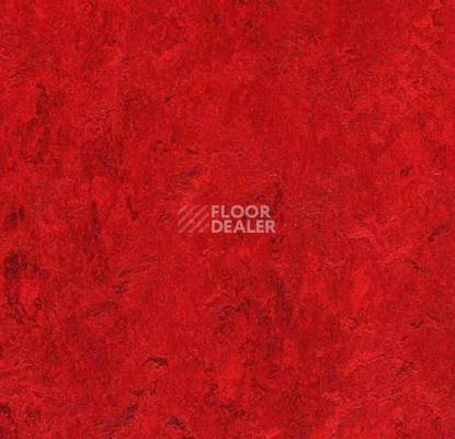 Линолеум Forbo Marmoleum Marbled Real 3127 Bleeckerstreet фото 1 | FLOORDEALER